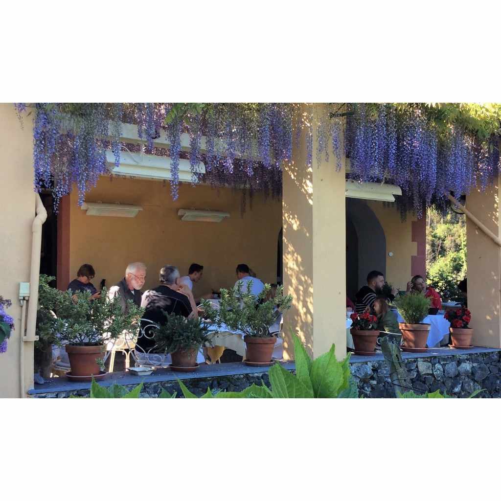 Heatscope Heaters Spot 2800W electric radiant heaters mounted on a patio ceiling above diners under wisteria.